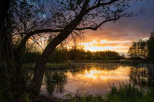 Coucher de soleil chaud sur un lac à De Wieden