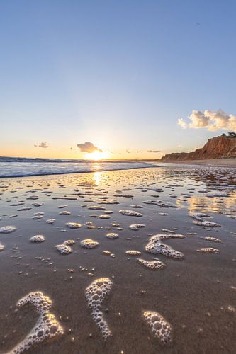 Zonsondergang op het zandstrand Praia da Falésia. Kliffen Roze bloemen bij Albufeira, Portugal