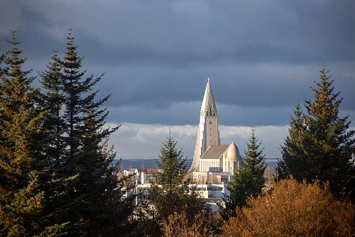 De bijzondere architectuur van de kerk in Reijkjavik.