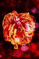 Peonia with ribbon Left