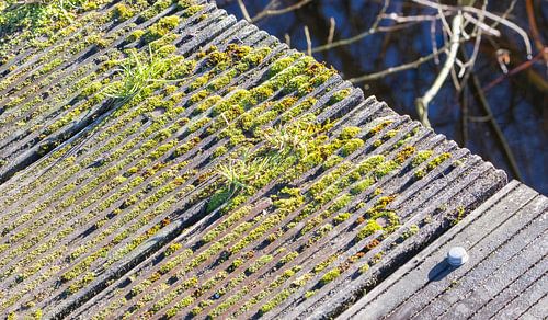 Bridge over a small river