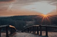 Zonsopgang in Rhenen, Natuurgebied Kwintelooijen.