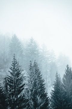 Mistig winter bos van Elise van Gils