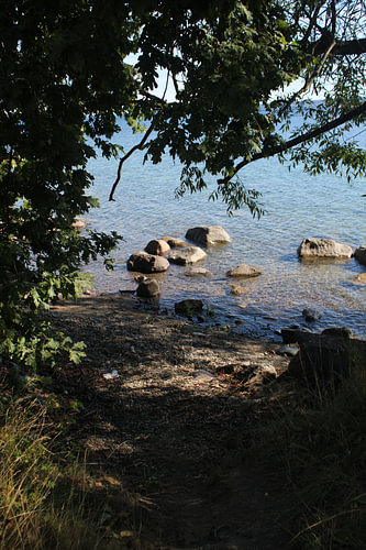On the shores of Visingsö