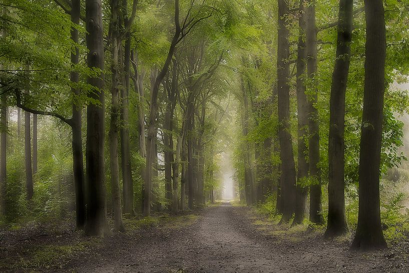 De groene laan in Lochem van Jos Erkamp