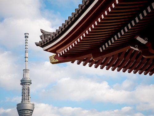 Traditie en moderniteit in Tokyo, Japan