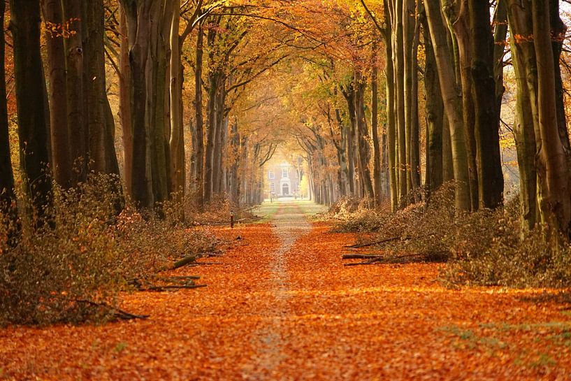 Kasteellaan met op achtergrond Kasteel Slangenburg, Doetinchem par Jan Nuboer
