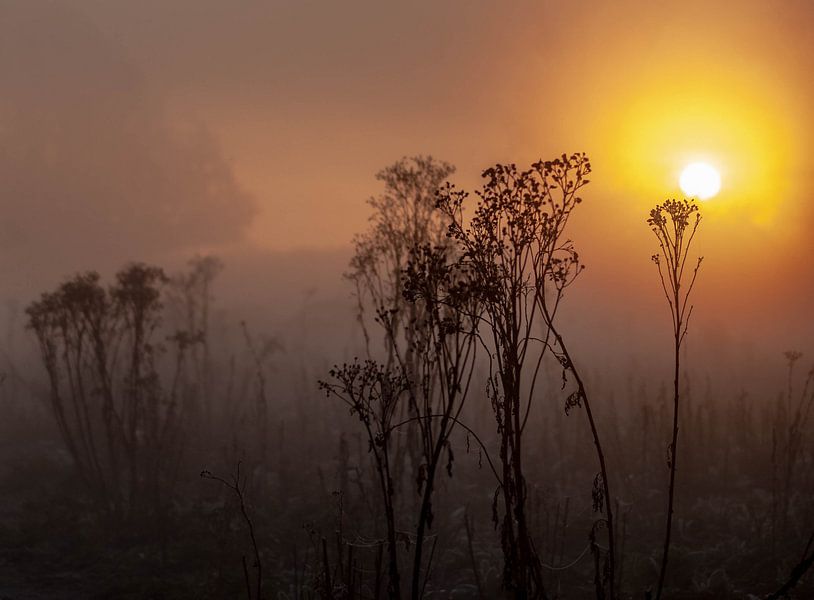 Lever du soleil par Thomas Depauw