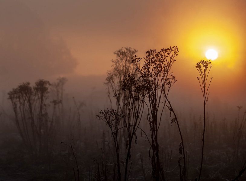 Sunrise van Thomas Depauw