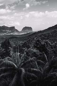 Viewpoint Mauritius van Moniek Kuipers