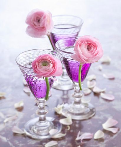 SF 60204638 Cocktails à la violette