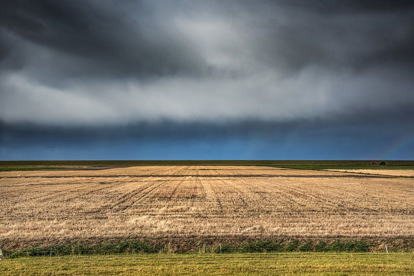 Landwirtschaftliche Flächen in der Westhoek von Friesland von Harrie Muis