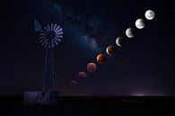 Illustration of the Super Moon Eclipse 2016 van Thomas Froemmel thumbnail