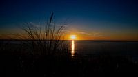 Coucher de soleil sur la plage de Lyngby