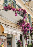 Gelato Artigianale en Bougainvillea - Kleurrijke Straat in Italië, Zuid-Europa