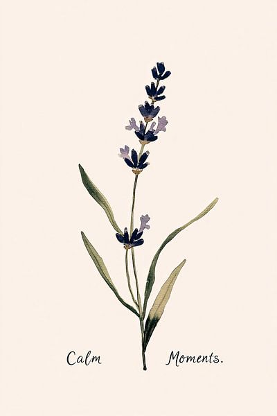 Minimalist lavender design with text by Imperial Art House