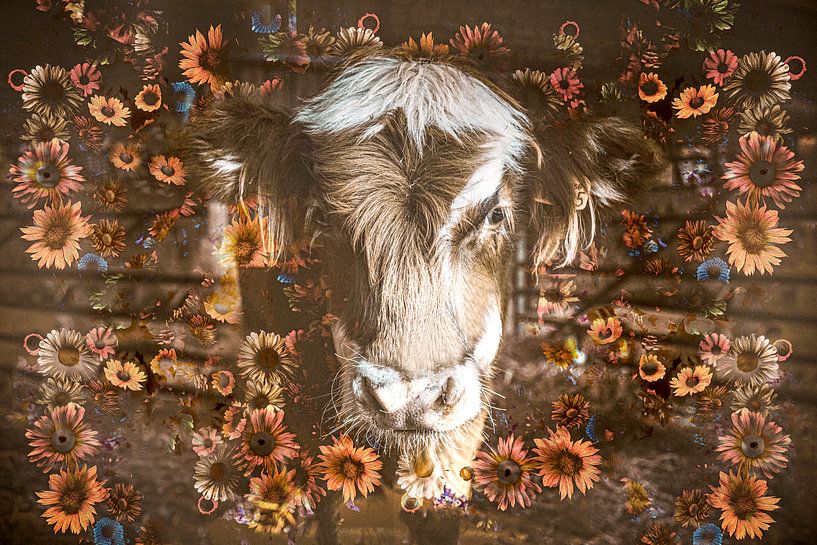 Kuh inmitten von Blumen &quot;Blühendes Blech&quot; von Tonny Verhulst