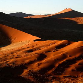 Sossusvlei Namibië sur Saskia van den Berg Fotografie