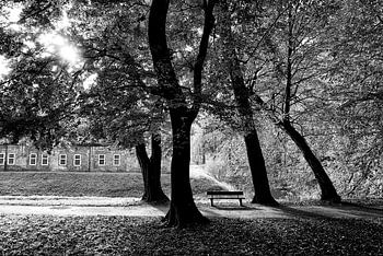 Bank onder bomen