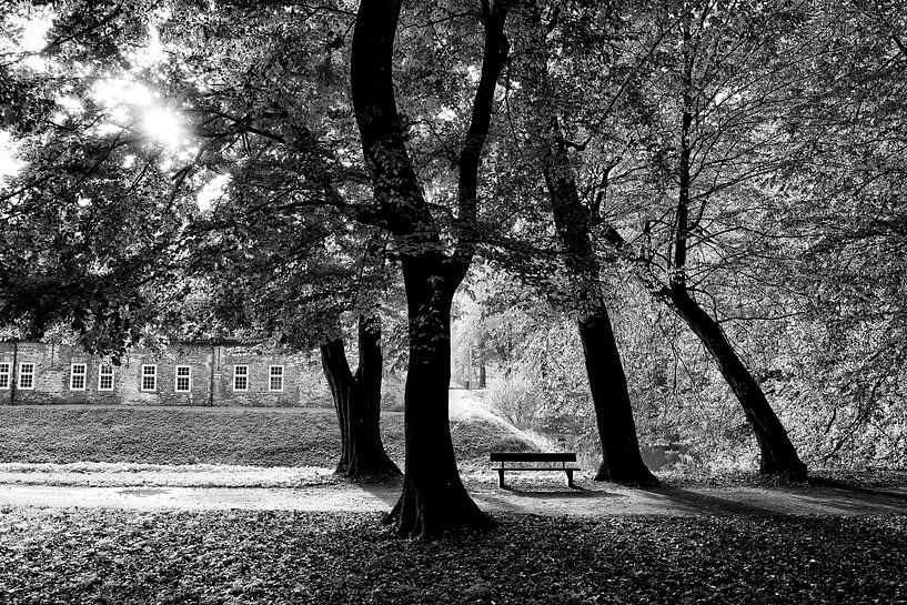 Bench under trees by Heiko Westphalen