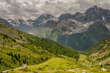 De drie koningen van Sudtirol: Ortler, Koningsspitze en Monte Zebru