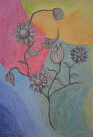 Pencil drawing of black and white flowers on an abstract coloured background