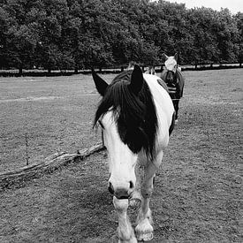 Michel Vegter Profile picture