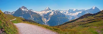 uitzicht vanaf wandelpad Grindelwald Eerst naar mooie bernese van SusaZoom