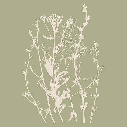 Zomerbloemen en grassen in wit en salie I