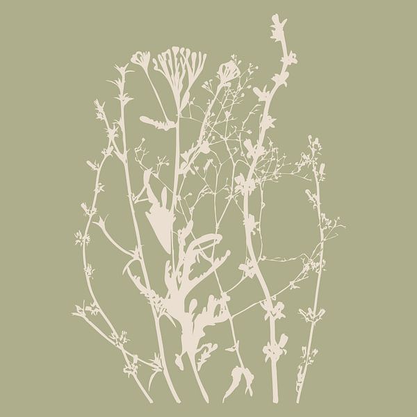 Summer flowers and grasses in white and sage I by Dina Dankers