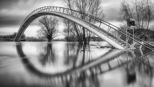 Nijmegen Hochwasser #8