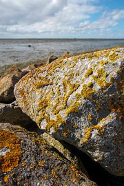 Schiermonnikoog - Gros plan romantique et flou artistique sur la digue de la mer des Wadden sur Dan Photo Shaman