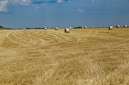Oogsttijd op het Franse platteland