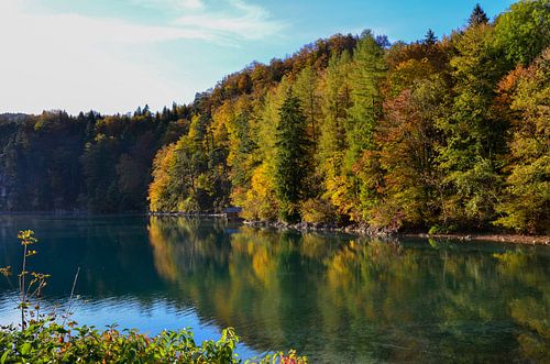 Herfstkleurige bosoever met helder blauwgroen water waarin het bos weerspiegeld wordt