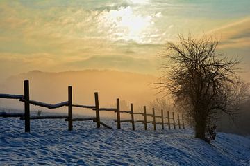Winter in het land van Claudia Evans