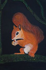 Eichhörnchen beim Nuss knacken