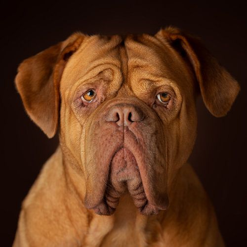 Hören, Sehen und Schweigen (Quadrat)