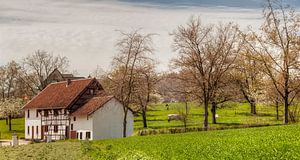 Lente in Zuid-Limburg sur John Kreukniet