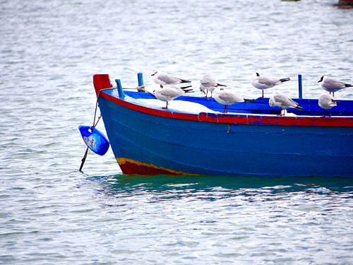 Blauw bootje met meeuwen in zee bij Bari