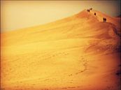Dune du Pilat. van Esh Photography thumbnail