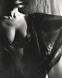 Stilvolles Boudoir-Porträt in schwarz-weiß von Carla Van Iersel