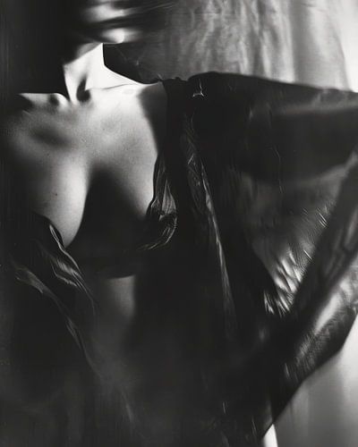 Portrait de boudoir élégant en noir et blanc