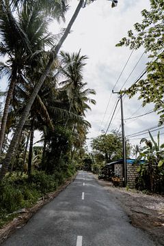 Straßen von Indonesien von Inge Pieck