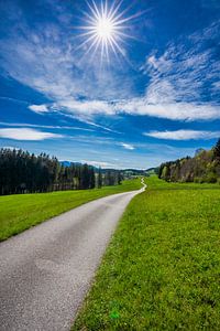 Der Weg ist das Ziel von Einhorn Fotografie