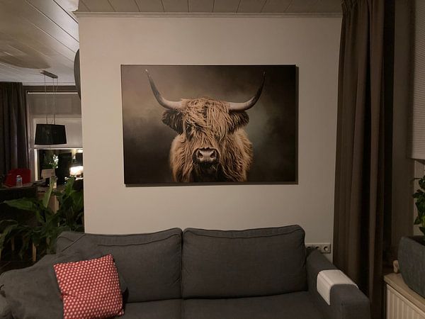Customer photo: Scottish Highland Cow by Diana van Tankeren, on canvas