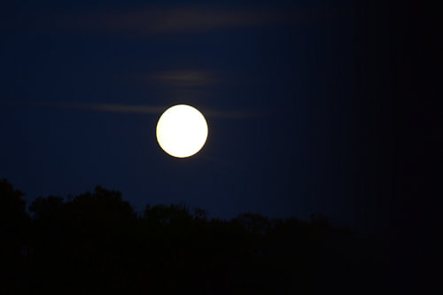 VOLMAAN 1