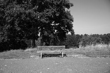 Découvrir la nature dans une zone forestière de l'Emsland, Basse-Saxe, Allemagne sur Bianca Meyering Fotos - BMF