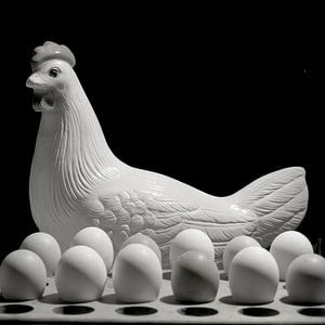 Huhn mit Eiern von Cees Heemskerk