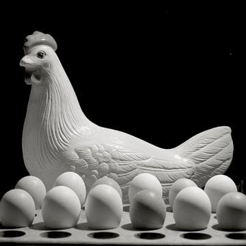 Huhn mit Eiern von Cees Heemskerk