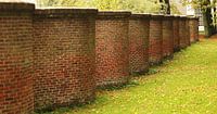 Mur